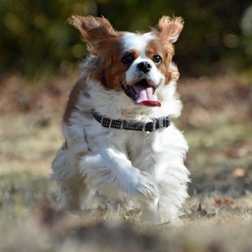 60 Seconds for Motivate Your Monday: A Tip to Run Free When Fear Blocks Your Creativity cover art