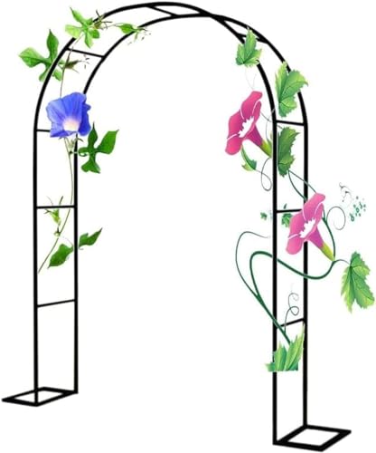 Arche de jardin en métal noire de 3m x 2,2m pour plantes et rosiers grimpants