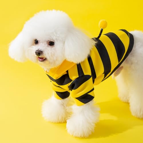 Disfraz de abeja para perro pequeño X-Small miniatura 2