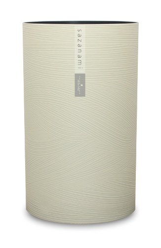 Dust Box Ripples