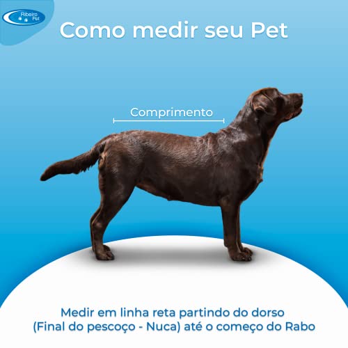 Colchonete Pet com Zíper para Cachorro Cão Gato Médio - Tam. M (Azul Patas)