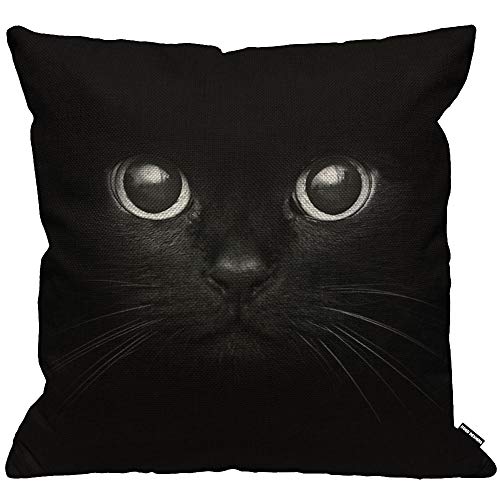 HGOD DESIGNS Housses de Coussin Noir Chat Spectacle Deux Yeux Taies d'oreillers Maison Décoration pour Hommes Femmes Garçon Fille Chambre Salon Canapé Voiture Coussins Oreillers 45 x 45 cm