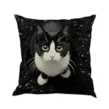 wetterfeste kissen kissen mit sprüchen zirbelkiefer kissen epicstun kissen senfgelbe kissen sitzpolster paletten dekokissen groß weiße kissen stuhlkissen weiß kissenhülle samt sofakissen rosa kissen hase schmusekissen kinder dekokissen schafkissen fisch kissen kissenbezüge rosa kissen für gartenstühle kissenbezug 40x40 kinder fellkissen rosa kissen anker paletten lounge kissen couchkissen groß stuhl sitzkissen kissen mädchen kissen 50 x 50 kissenhülle gelb petrol