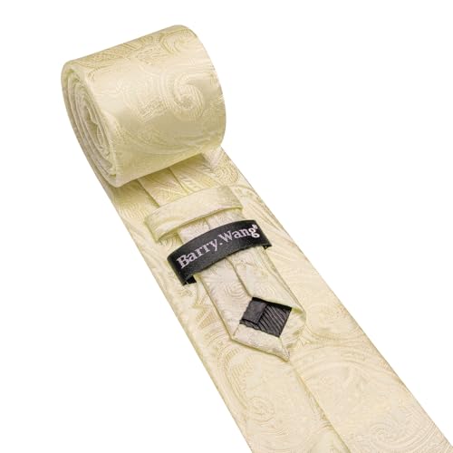 Image of Barry.Wang Men Tie Set Paisley Silk Necktie Pocket Square Cufflinks Formal Wedding Business Party