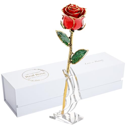 Image of Valentines Day Gift Rose, Gold Dipped Real Rose is Attractive Luster and Natural Shape, Best Gifts for Anniversary Wedding Valentines Day (Red Original Rose with Stand)