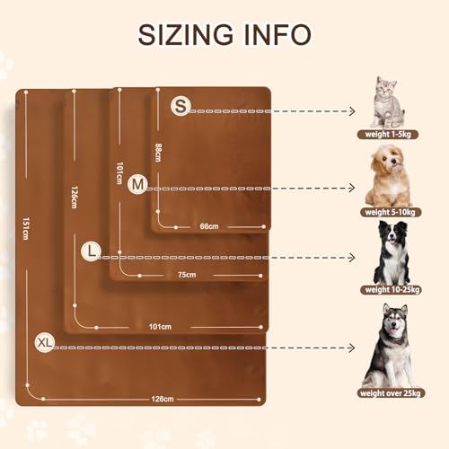 CareCooo wasserdichte Hundedecke Klein - 60x90cm Hundedecke Wasserdicht Waschbar, Flauschige Haustierdecke für Sofa und Katzendecke, Gold