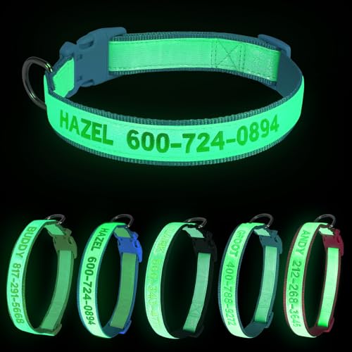 Collare per cani ricamato fosforescente al buio, collare per cani personalizzato luminoso con nome e numero, collare per cani illuminato fluorescente per notte lunghezza regolabile adatto a tutti i