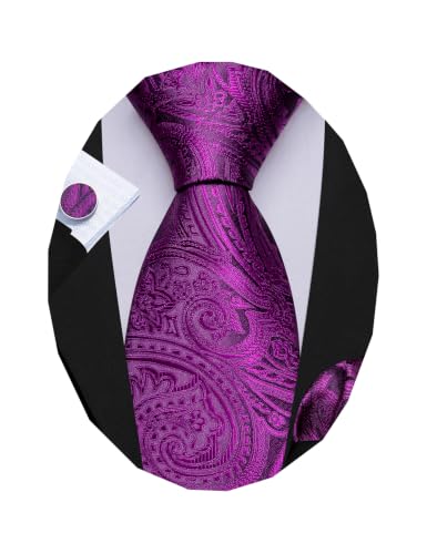 Image of Barry.Wang Paisley Tie Fashion Set Hanky Cufflinks Neckties for Men Woven Silk