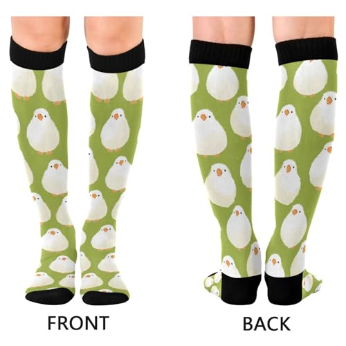 Image of JUNZAN Compression Socks Women Comfort Circulation Long Socks