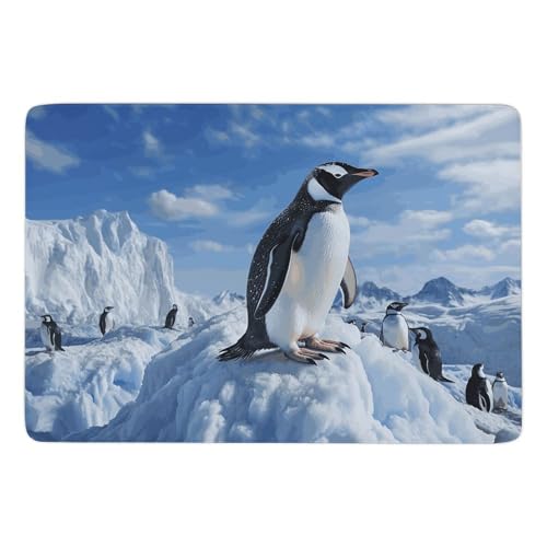 Grand tapis de bain antidérapant pingouin lavable en velours corail - 2