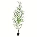 Vickerman Everyday Artificial Mini Bamboo Tree 5 Foot Tall - Crafted with Lifelike Mini Bamboo Shoots - Faux Decor for Home Or Office Indoor Greenery