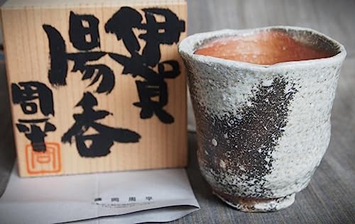 Artist Shuhei Fujioka IGA Kiln Hengyu Co-Box
