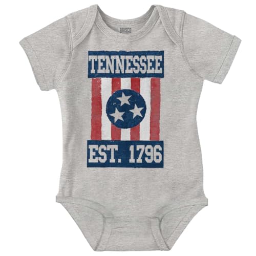 Brisco Brands Tennessee Country Southern TN Flag Baby Romper Boys or Girls
