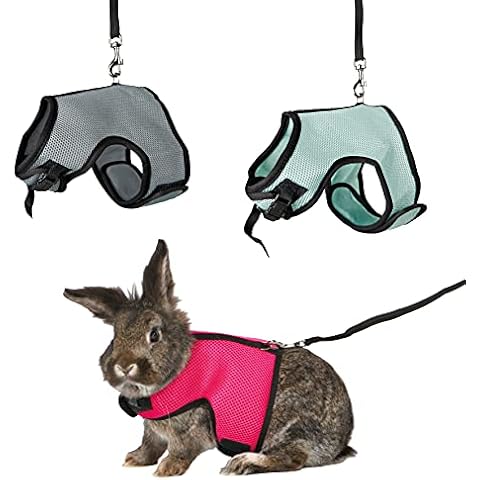 Harnais Trixie pour Lapins Cover
