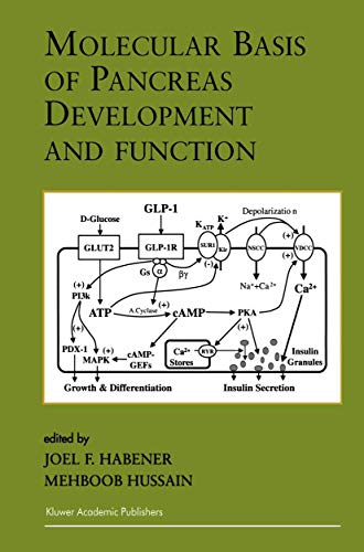 Molecular Basis of Pancreas Development and Function (Endocrine Updates, 11)