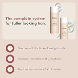 hims Thick Fix Shampoo & Conditioner Set - Saw Palmetto for Healthy Hair Growth & Thickening - Scalp Cleansing - Vegan, Sulfate-Free & Cruelty-Free - Eucalyptus Scent, 6.4 fl oz