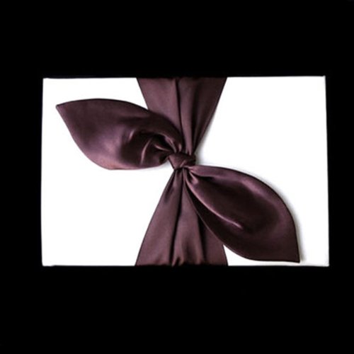 Sacasusa New Elegant Brown Satin Bow With Ivory Wedding Flower Girl Basket #TOP2