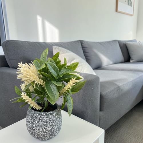 Image of Garden Art Artificial Protea Flower Arrangement Placed in a Small Decorative doted Pot. The Spiky, Cone-Shaped Bloom and Textured Petals are Typical of Protea Flowers (P-0235White)