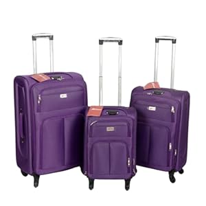DENWUD Lightweight Softshell 4-Wheel Spinner Suitcase Set Of 3 Pieces Expandable Durable Travel Luggage with TSA Lock, 20" 24" 28" Inch Multiple Colors & Sizes All Airline Approved (Purple)