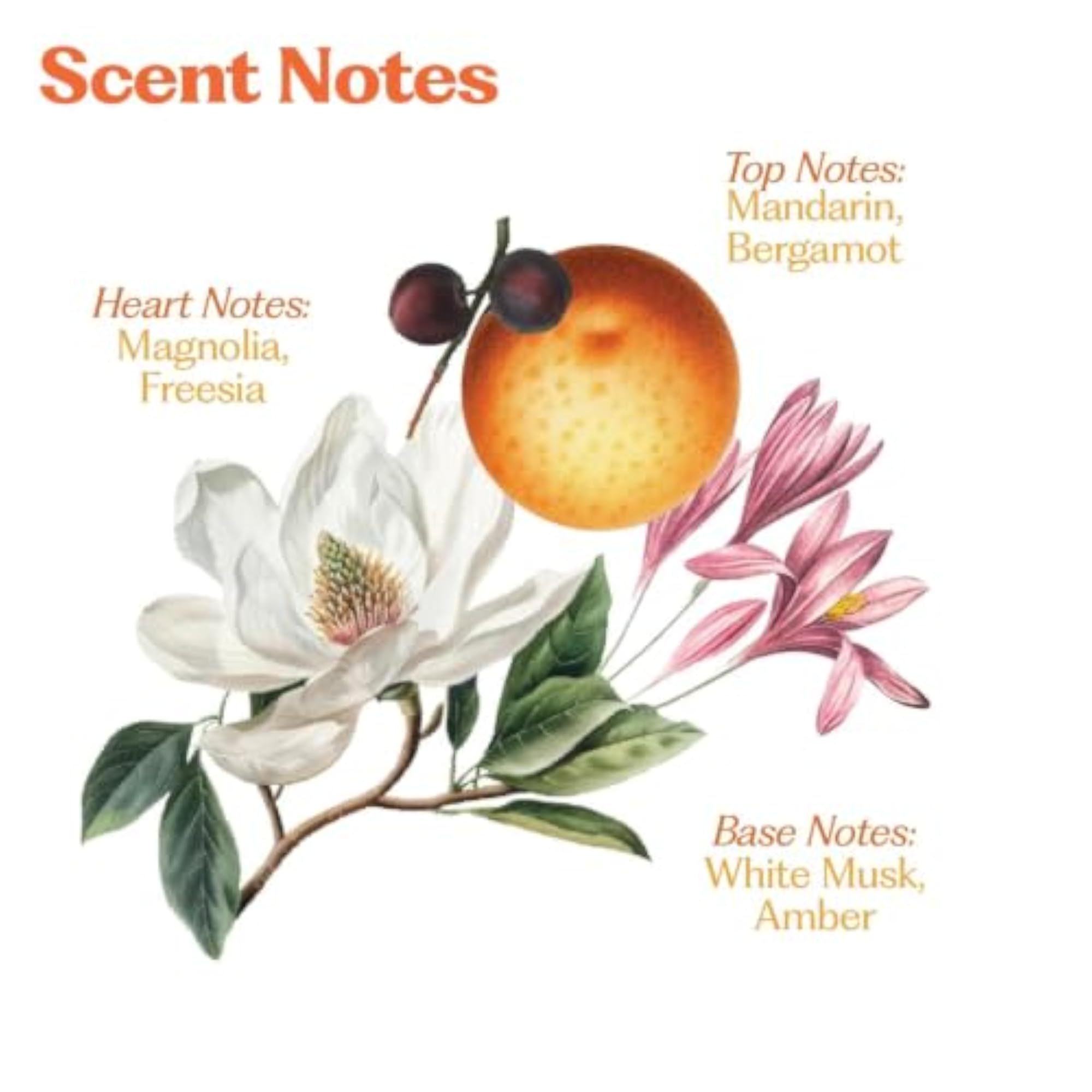 Hair Perfume Combo for Women, Rani Baug & Wild Flower Mist