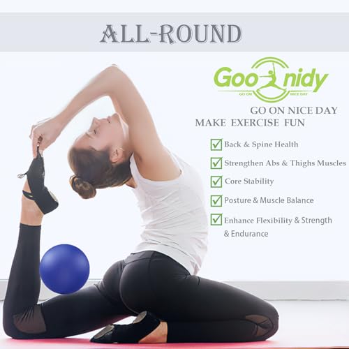 Image of PL-0003 Soft Exercise Ball, Anti-Burst Yoga Ball Chair Supports 2200lbs PL-0003