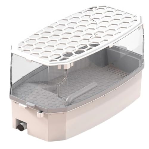 Emidor �e�����E�� �J�� ���� ����e�� ঒��� �P�[�W �V���N �v���X�`�b�N �ώ@ �r���� ����~�� �E���h�~ �J�� ������ �ɍœK (C,S)