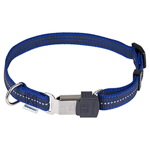 Collier réfléchissant bleu pour chien sécurisé et ajustable - 2