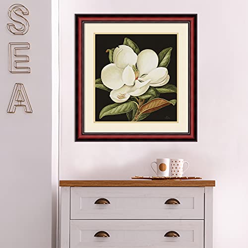 Amanti Art Wood Framed Wall Art Print Magnolia Grandiflora 2003 By Jenny Barron (24 In. W X 25 In. H), Rubino Cherry Scoop Frame - Medium #TOP3