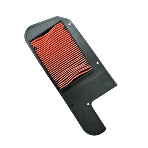 Filtre à air résout perte puissance moteurs NSS250 MF07 et PS250