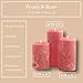 Becky Home Pink Scented Pillar Candles Set of 3, 3x4, 3x5, 3x6 Pink Candles, Peony Rose Pilar Scented Candle, Ideal as Wedding, Parties, Spa, Dinner, Home Decor, Church