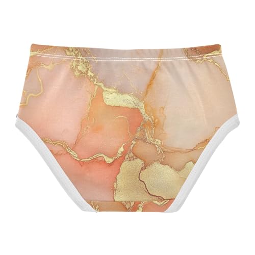Brief Panties All Seasons Panties Organic Cotton Toddler Underwear for Kids in Sizes 2T,3T, 4T, 5T, 6Y and 8Y2
