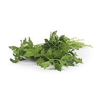 Algopix Similar Product 11 - Organic Italian Parsley, 1 Bunch