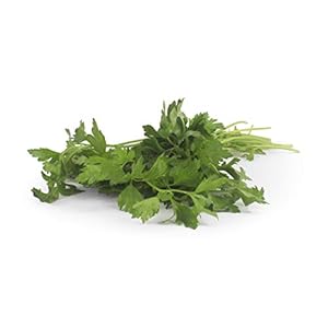 Organic Italian Parsley, 1 Bunch