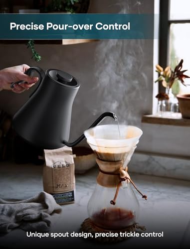 INTASTING 0.9L Gooseneck Kettle