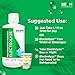 BEAM Minerals Micro-Boost and Electrolyze Advanced Set | Advanced Electrolyte & Micronutrient Support | 100% Bioavailable, Ionized Format