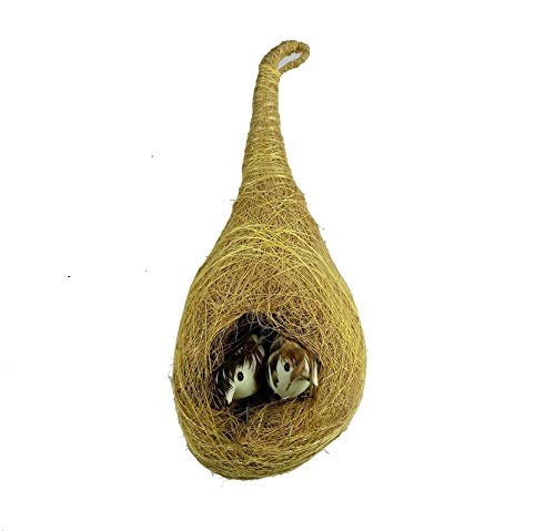 ORIVILLE Coir Craft Handmade Hanging Birds Nest for Balcony and Home Decor (Height 11 inches) (B08ZCZCFZ1) Amazon Price History, Amazon Price Tracker