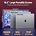 VisionOwl Large Portable Monitor 18.5-Inch 1080P FHD 100Hz Refresh Rate Laptop Monitor, 125% sRGB, IPS Panel, USB-C & HDMI for Laptop, PC, Mac, PS5, Xbox, Built-in Kickstand, Speakers, VESA Mountable