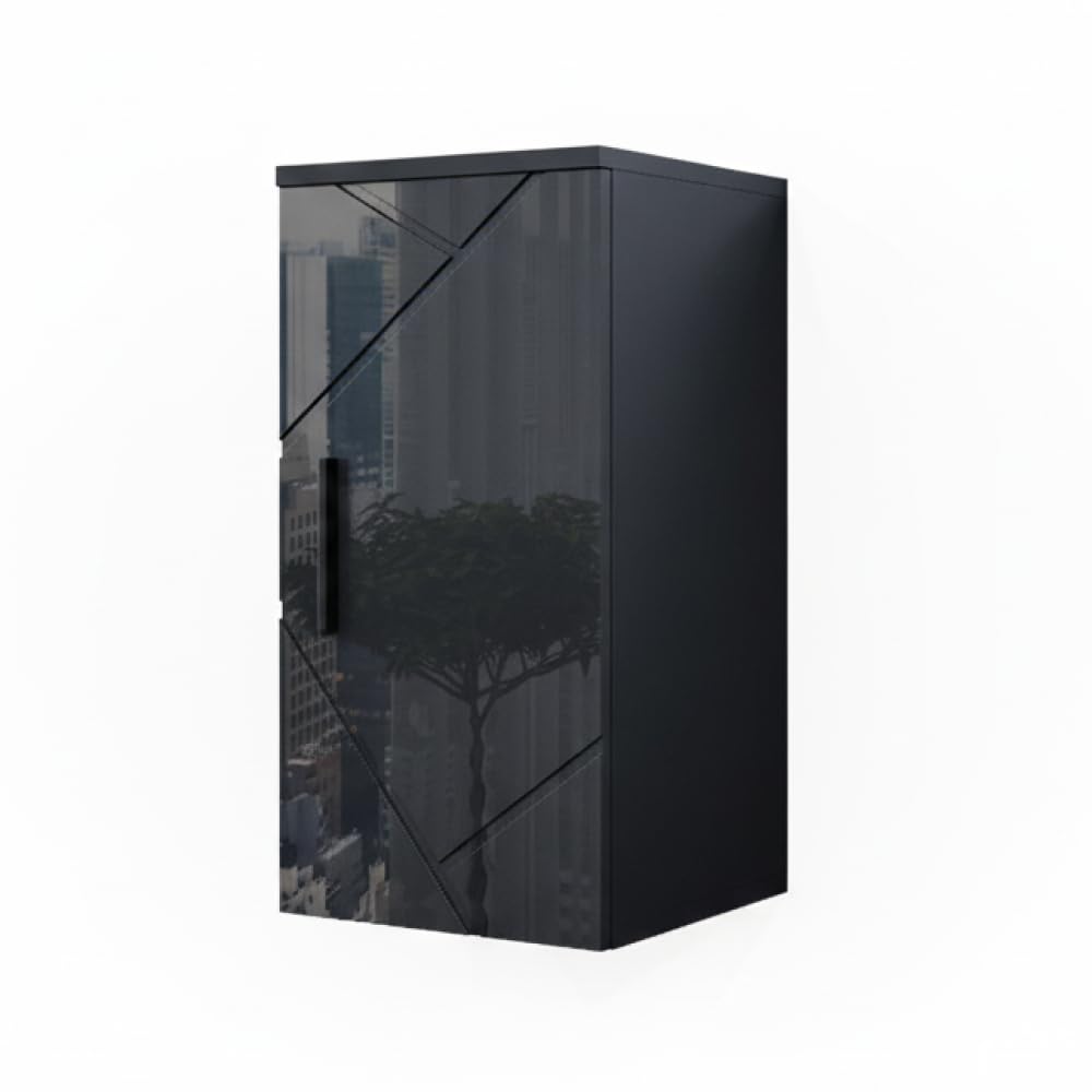 Vicco Armoire Murale Irma, Anthracite Haute Brillance, 30x59cm, adapté à la Fixation Murale et combinable avec d'autres Meubles Irma