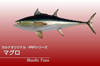 リアルマグロ立体オブジェ 約1m？ 楽天市場】FRPアニマルオブジェ マグロ Bluefin Tuna リアル