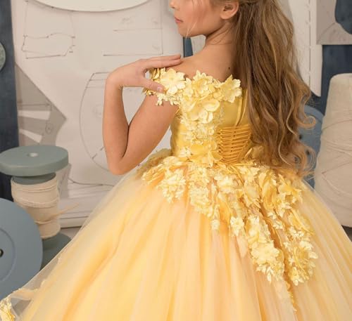 Applique Flower Girl Dress Off Shoulder First Communion Dress for Girls Pageant Dresses4