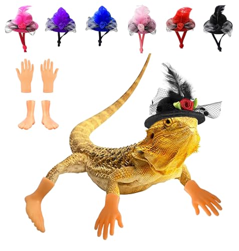 6 peças de chapéu de Natal de dragão barbudo e 4 peças de fantasia de dragão barbudo, chapéus de dra