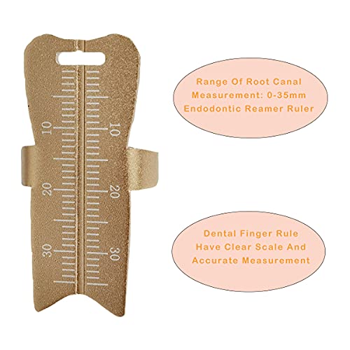 Dental Measuring Ring, Endodontic File Finger Ruler Dental Root Canal Measurement Scale Instrument (Gold) #TOP3