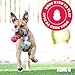 KONG Classic Stuffable Dog Toy - Fetch & Chew Toy for Dogs - Treat-Filling Capabilities & Erratic Bounce for Extended Play Time - Durable Natural Rubber Material - for Large Dogs