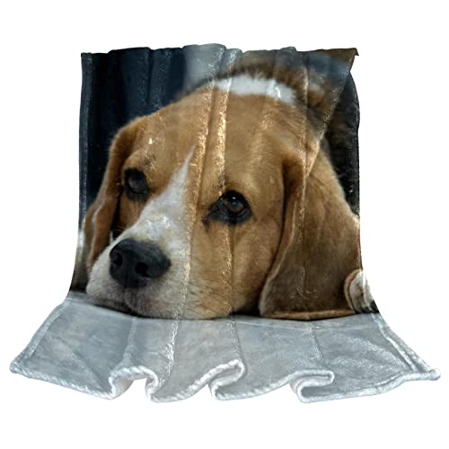 Couverture en peluche Beagle microfibre haut de gamme - 2