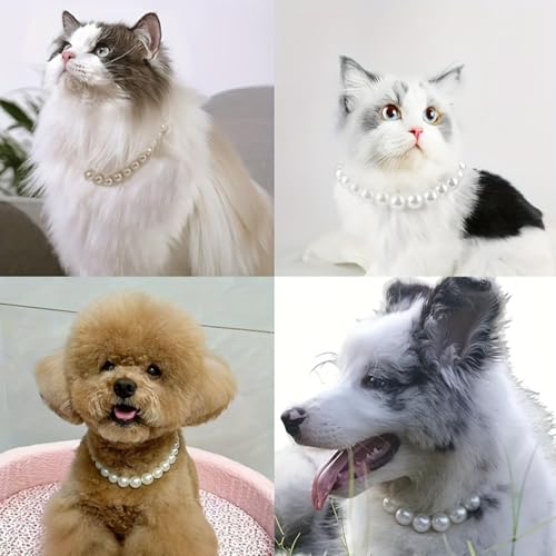 Image of Qiansail Dog Pearl Necklaces, Candy Color Necklace Adorable Pearl Collar Chihuahua York Clothing Dress Cute Fashion Pet Supplies for Puppy Kitten (White, L)