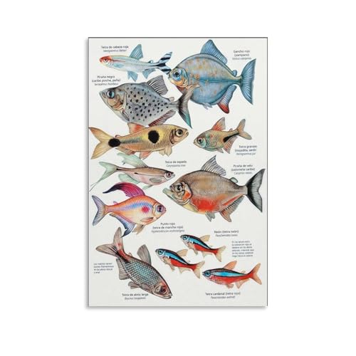 JHXNJDPOST Tropical Fish Aquarium Wall Art 16x24in
