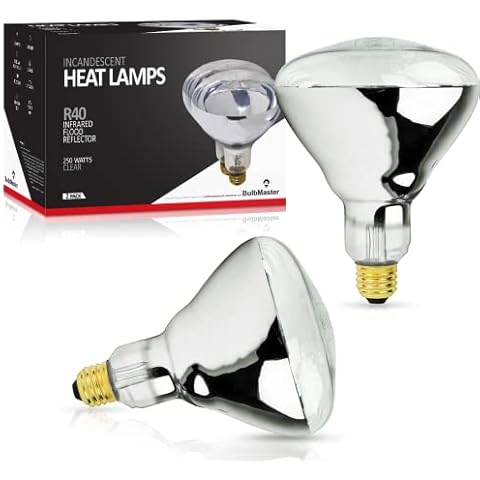 BULBMASTER 250 Watt Heat lamp Bulb for Bathroom R40 Incandescent Shower Heat Lamp Clear Infrared Bath Light 250R40 Chicken Light Bulb E26 Base 2 Pack Cover