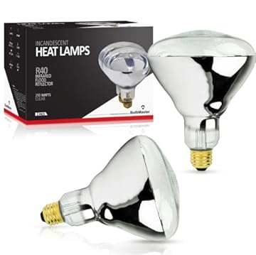 best bathroom heat lamp