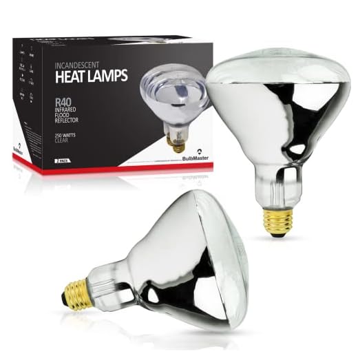 250 Watt Heat lamp Bulb for Bathroom R40 Incandescent Shower Heat Lamp Clear Infrared Bath Light 250R40 Chicken Light Bulb E26 Base 2 Pack