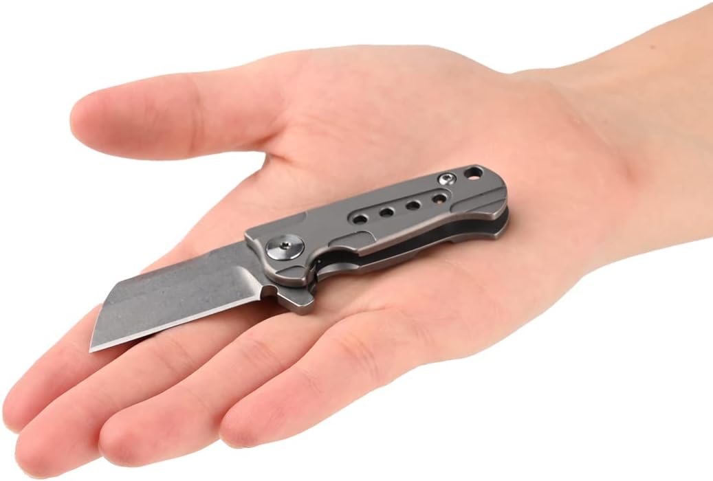 sw701 Mini Titanium Handle Steel Blade Folding Pocket Flipper Knife，Ultra Small EDC Tiny 2.18 Inchs hang on a keychain, frame lock knife Camping Tool Outdoor Activities